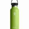 Cheap 🛒 Hydro Flask Seagrass 18-Oz. Standard Mouth Flex Cap Water Bottle For Home & Garden 👍 -Hydro Flask Shop zu103001219 main tm1643841550