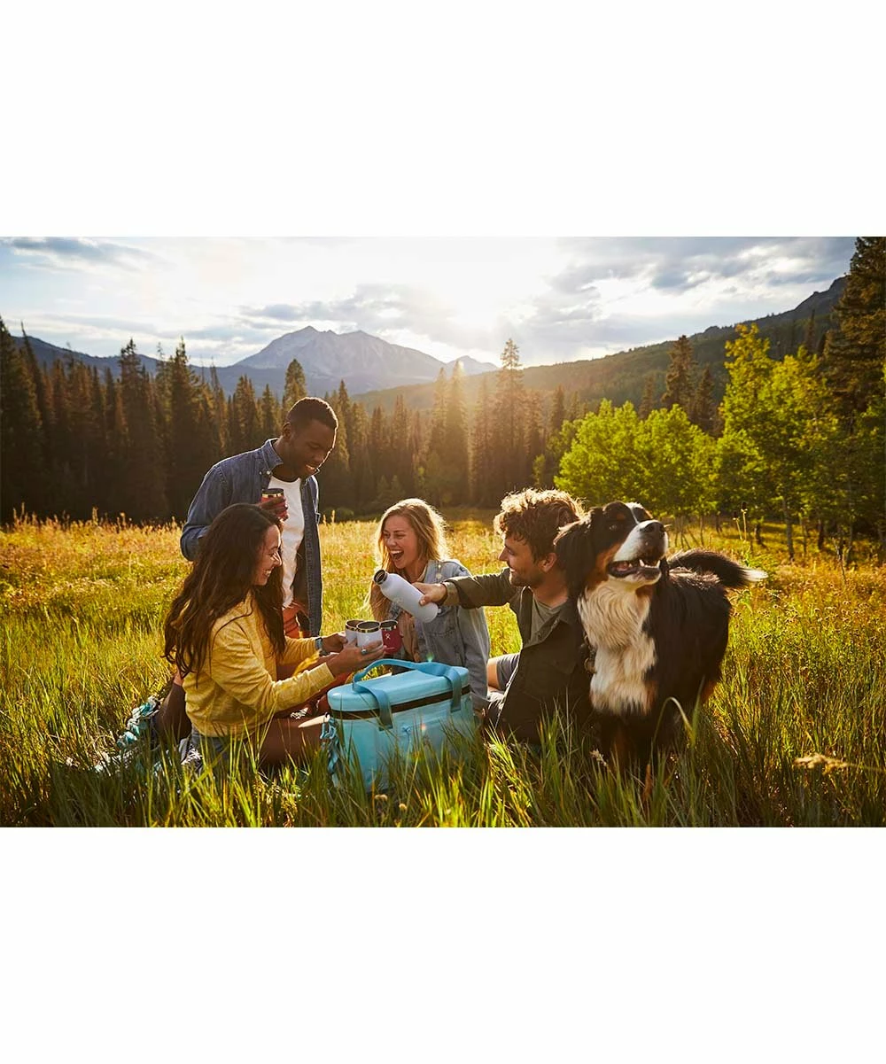 Best Pirce π Hydro Flask Black 25-Oz. Wine Tumbler For Home & Garden π 6 Best Pirce π Hydro Flask Black 25-Oz. Wine Tumbler For Home & Garden π - Image 4