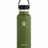 Cheap ❤️ Hydro Flask Olive 18-Oz. Standard Mouth Flex Cap Water Bottle For Home & Garden ⌛ -Hydro Flask Shop zu94511583 main tm1617290843