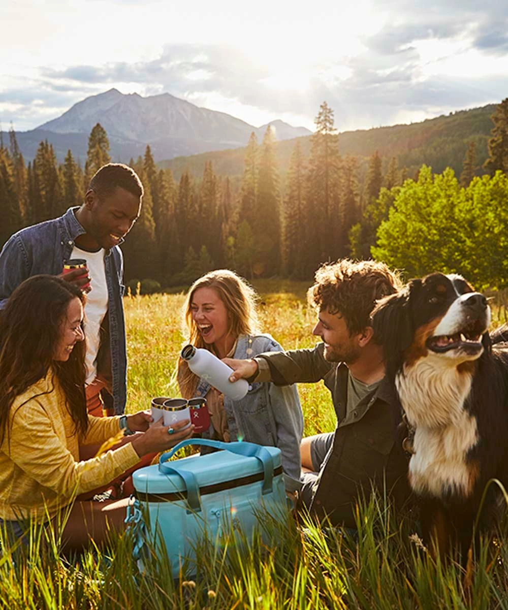 Cheapest π€© Hydro Flask White 25-Oz. Wine Tumbler For Home & Garden π 6 Cheapest π€© Hydro Flask White 25-Oz. Wine Tumbler For Home & Garden π - Image 4