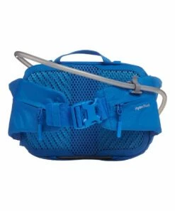 Buy ❤️ Hydro Flask Sapphire 5-L Down Shift Hydration Belt Bag For Other 😀 -Hydro Flask Shop zu94556797 alt 2 tm1617292812